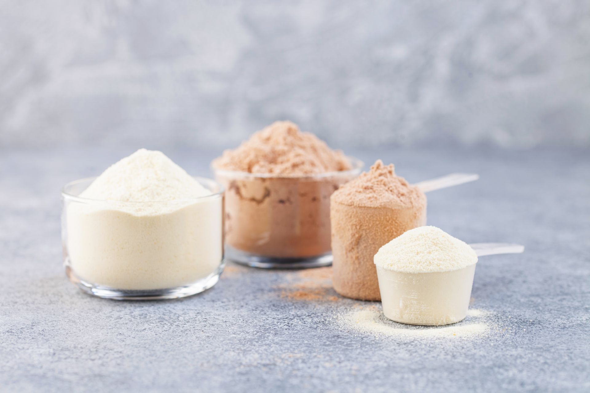 What is the difference between a plant protein supplement and an animal protein supplement?